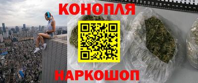сатива Лесосибирск