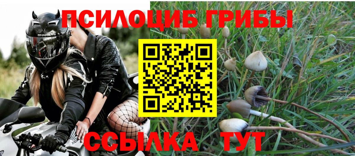 Псилоцибиновые грибы ЛСД Ижевск